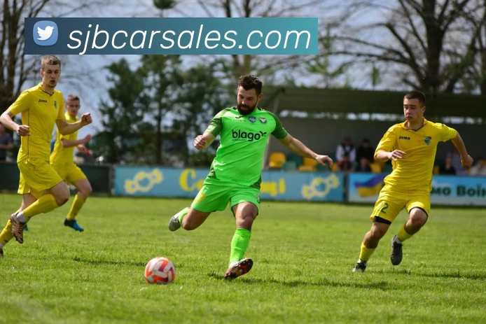 开云平台生态图